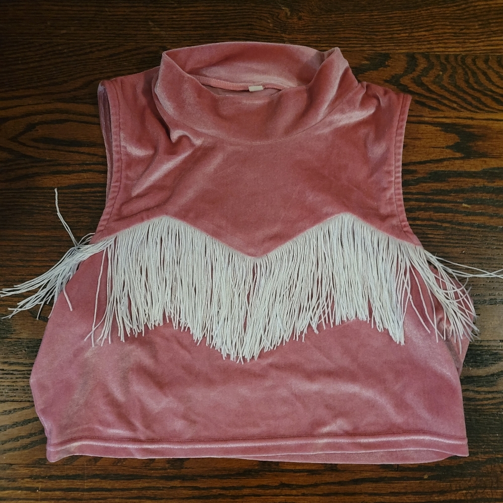 Pink Velvet Fringe Fashion Brand Company crop top